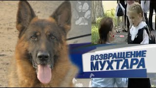 Возвращение Мухтара 4 сезон  77 серия