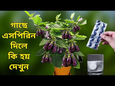 ভিডিও: অ্যাসপিরিন নেওয়ার 4 টি সহজ উপায়