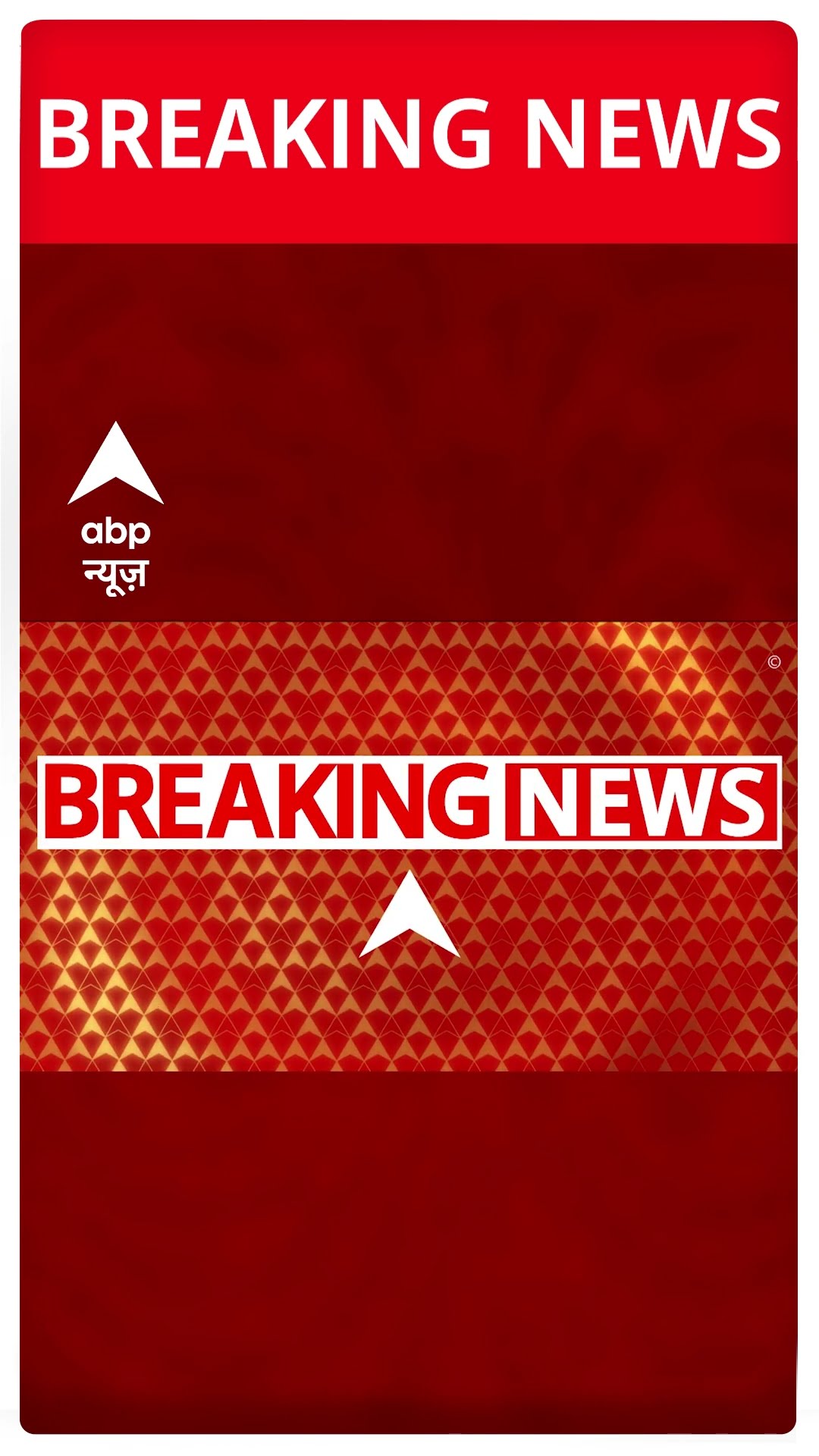Delhi के चुनावी रण में Rahul Gandhi की एंट्री, दो जनसभाओं को करेंगे संबोधित | ABP Shorts