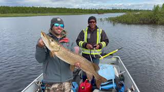 Fishing for Trophy Northern Pike at Reindeer Lake, Saskatchewan Canada