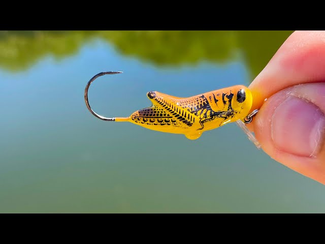 Can I catch A Fish on this CRICKET Lure?! 