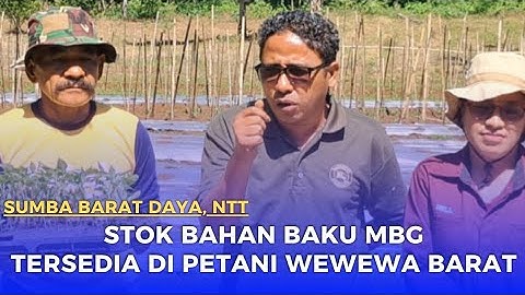 Penyuluh Pertanian Wewewa Barat Sebut Kebutuhan Dapur MBG Tersedia di Petani