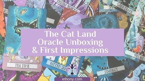 Cat Land Oracle Deck Unboxing and First Impressions