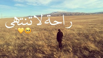 الحج اشهر معلومات🥺💛 || أجمل حالات واتس اب قرآن _ تلاوة مريحة للقلب || بصوت القارئ عبدالرحمن مسعد🖇♥️