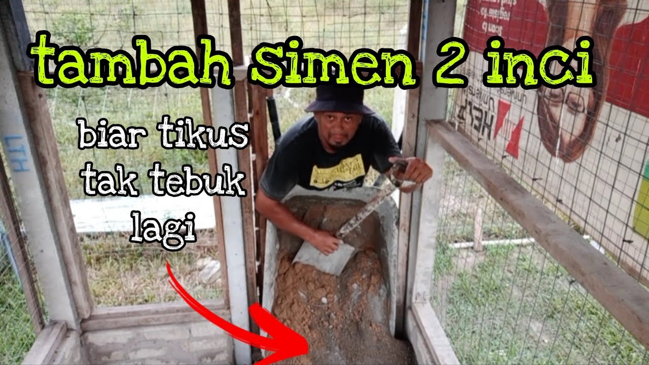 [Episod929] simen tebal dalam reban. kali ni kalau tikus korek juga.. memang 'patahlah' gigi dia😣