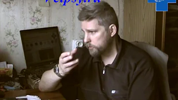 Стресс у животных: что делать?