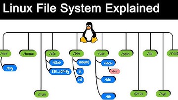 A Beginner’s Guide Understanding the Linux File System