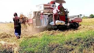 combi darat sergap lahan sawah agak kering.