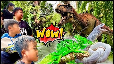 Khám phá Vùng Đất Rồng - Nông trại cá rồng lớn nhất Củ Chi