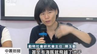 圈養鯨豚訓練表演遭批違反天性20140902 公視中晝