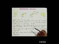 Class-11(Biology) || Kingdom Monera || Important notes || Neet 2025