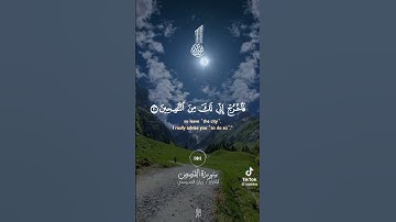 سورة القصص القارئ ريان المحيسني #اكسبلور #ملخص #قرآن #قران_كريم #قران #قران #قرآن_كريم