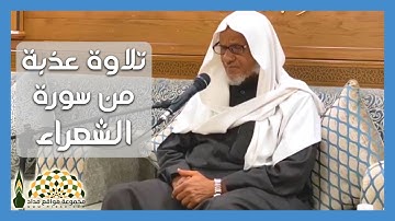 تلاوة عذبة من سورة الشعراء بصوت القارئ أحمد خليل شاهين، برواية رويس عن يعقوب