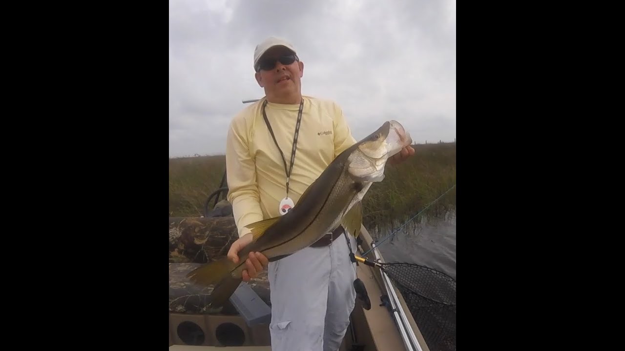 Snook on a Windy Afternoon (29 inches) - YouTube