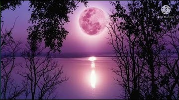 الله خالق كل شيئ تلاوة جميلة للشيخ سعد الغامدي