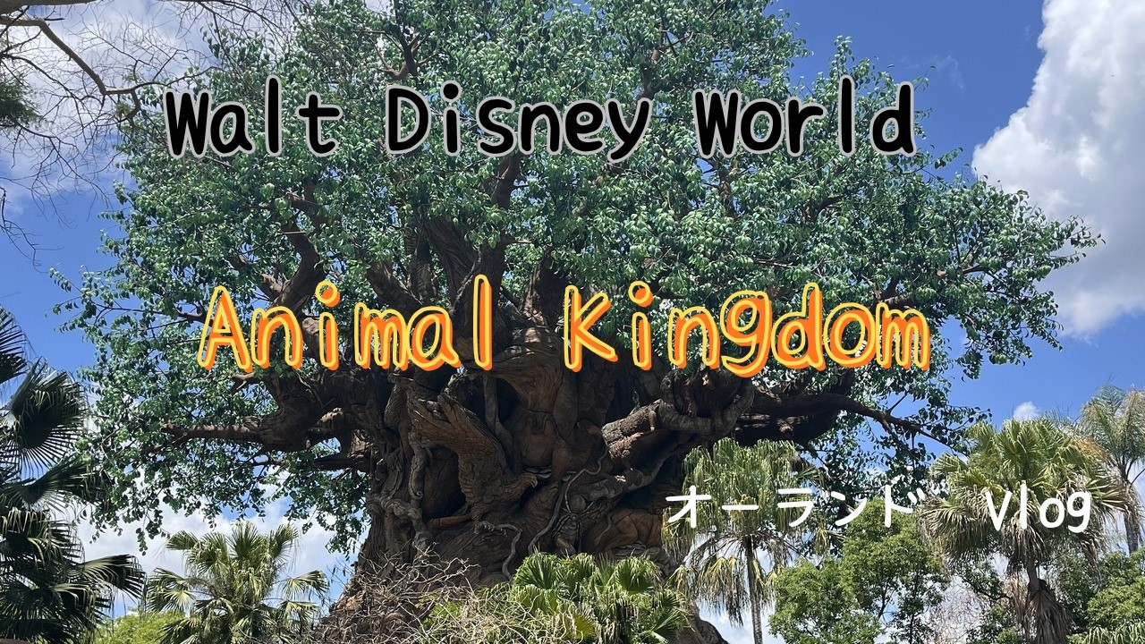 ★超レア★WDW★キャスト限定★アトラスシリーズ8of12★アニマルキングダム★ オーランド旅行vlog DisneyWorld AnimalKingdom ディズニーワールド