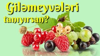 Giləmeyvələrin adlarını bilirsiz?Знаете ли вы названия ягод?