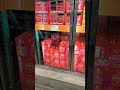 Costco NEW PRODUCTS Kirkland Kombucha 👍 and Pickle Balls 👎🤢