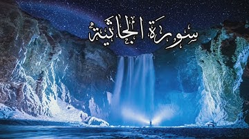 سورة الجاثية كاملة | القارىء أحمد خضر | 🕊🌱