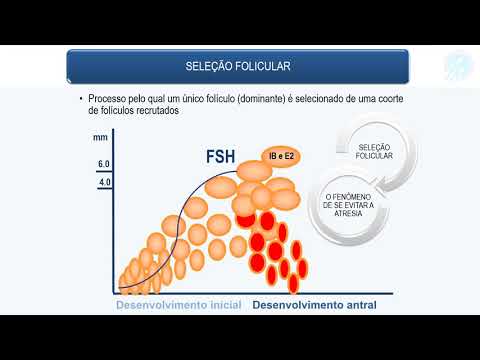 Vídeo: Inibidores Da Aromatase Em Ciclos De Fertilização In Vitro Estimulados