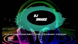 A Ja na Gori ab Jhan tarsa.. cg song mix dj Saranga x dj snake   plzz headphones tri