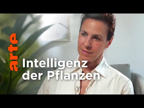 Sind Pflanzen Tiere wie alle anderen? | Offene Ideen | ARTE