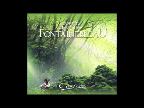 我的心在法國甦活 - 楓丹白露靈氣森林 Fontainebleau - 夢中星辰 L'astre s'endort