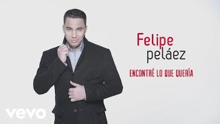 Video thumbnail of "Felipe Peláez - Encontré Lo Que Quería (Cover Audio)"