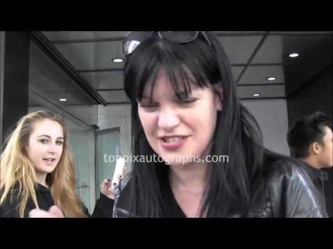 Pauley Perrette