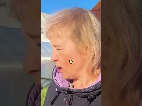 Они Рассказали Схему, Как Автоматизировать Любой Процесс ⚙️🤖✅