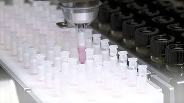 Fully Automated Mycotoxin Analysis - ThermELUTE