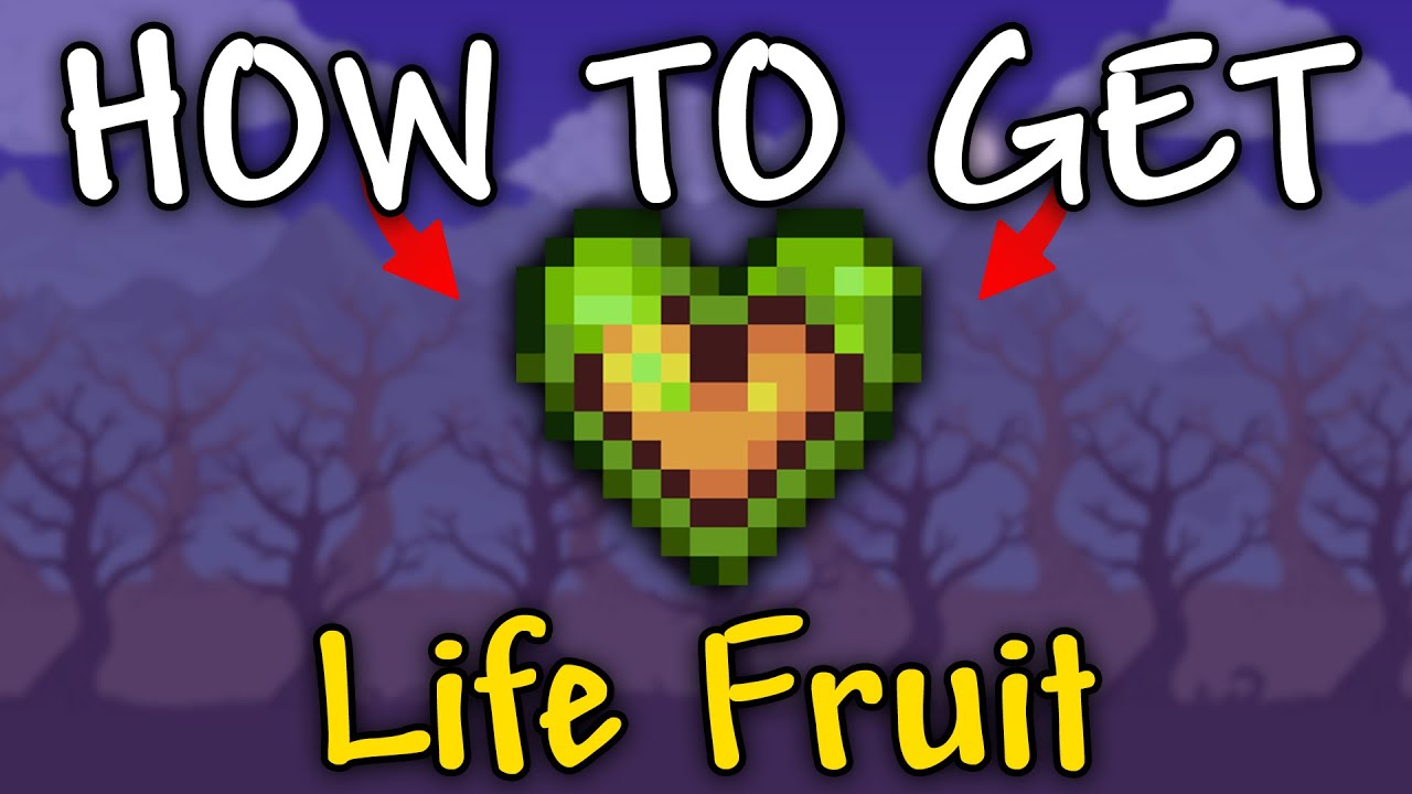 How to Get Life Fruit in Terraria 1.4.4.9 Life Fruit Terraria YouTube
