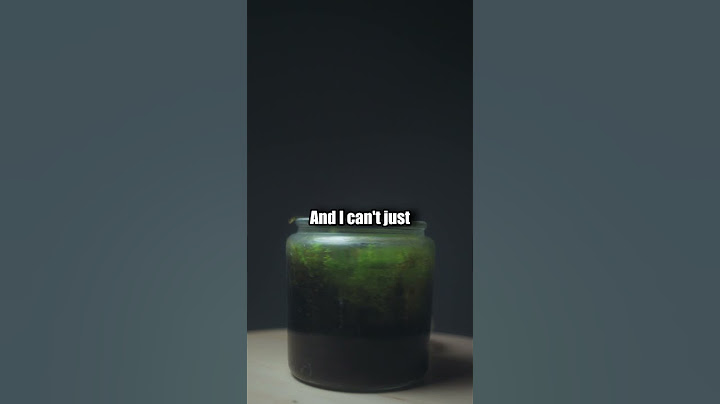 I opened an abandoned jar of plants