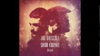 Video thumbnail of "Joe Driscoll & Sekou Kouyate - Lady"