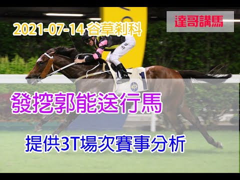 【賽事分析】剎科日 發挖郭能送行馬 2021-07-14 提供3T場次賽事分析