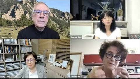 Non-coding RNAs and Epigenetics