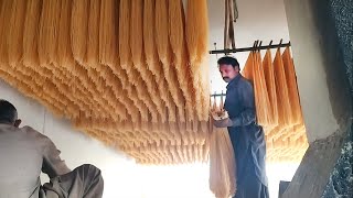 Process of Mass Production of Noodles/ Pasta Production in Factory | Modern Technology for Pasta