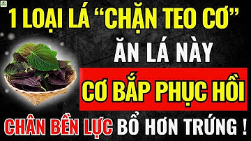 90 Tuổi Chân Vẫn Khoẻ, Hết Teo Cơ Nhờ Ăn Đúng 1 Loại Lá Giàu Collagen Này!|Sức Khỏe Tuổi Già