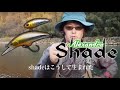 Shade・革新のコンセプト/シェードが生まれるまで