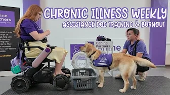 Assistance Dog Training & Burning Out | Chronic Illness Weekly
