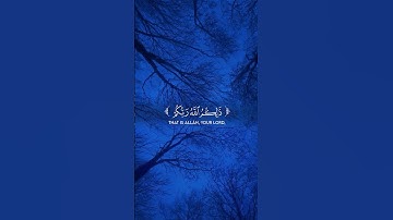 سورة غافر || آية ٦١-٦٣ (Surah Ghafir) ﷽#quran  #قرآن  #yasseraldossari