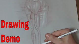 Drawing Demonstration of Leonardo da Vinci: The Mechanics of Man