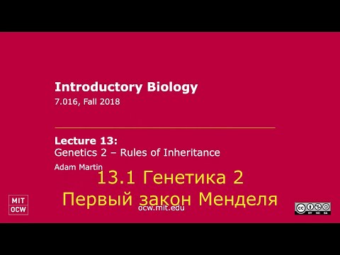 Генетика 2. Правила