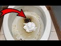 Dump Shaving Cream in your Toilet and WATCH WHAT HAPPENS!