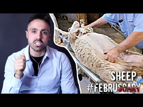 The SCARY Ways Humans Violate SHEEP | FebruSCARY | Ep.3