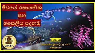 උසස් පෙළ ජීව විද්‍යාව, ජීවයේ රසායනික සහ සෛලීය පදනම, අටවන කොටස. by Sasini Gunathilaka