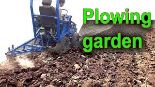 Plowing The Garden On The Homemade Minitractor. Two Bottom Plow