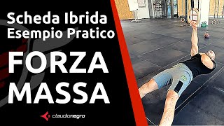 Scheda Ibrida - Calisthenics e/o Power Lifting - Modello Universale