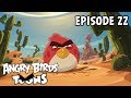 Angry Birds Toons | The Great Eggscape - S2 Ep22
