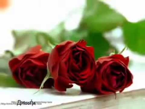 أغنية كل سنه و انت طيب تامر حسني